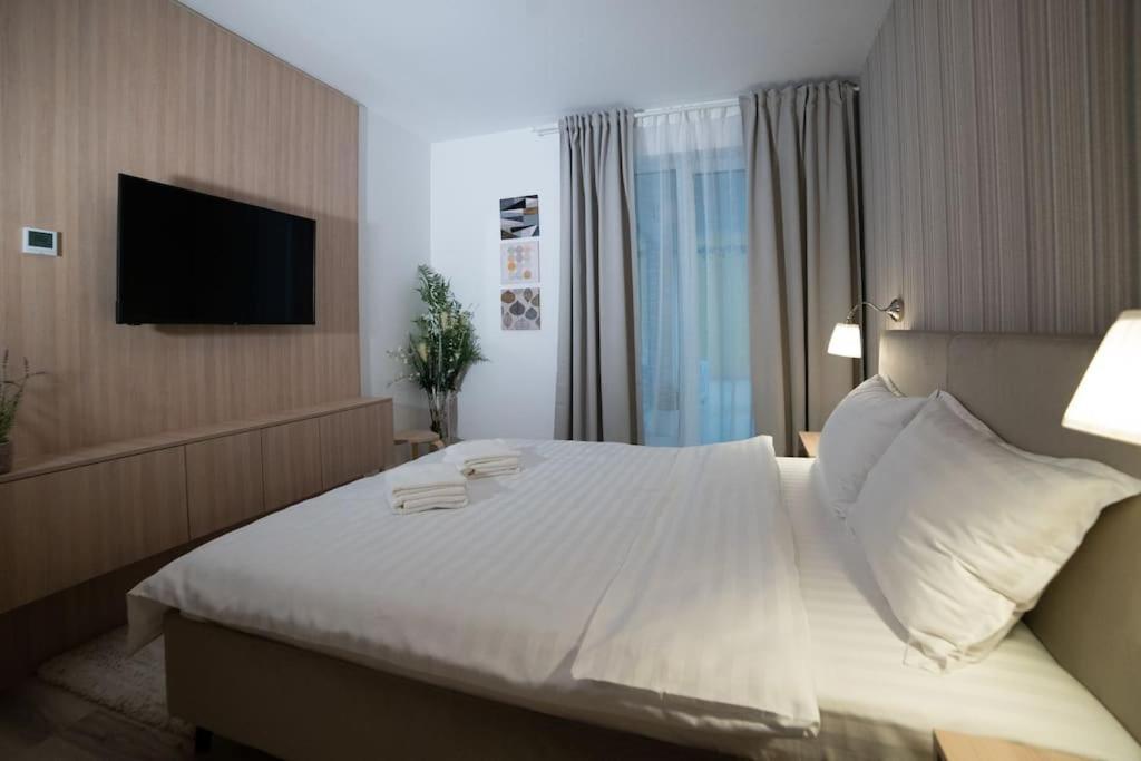 Apartment Carpe Diem Travel Timisoara