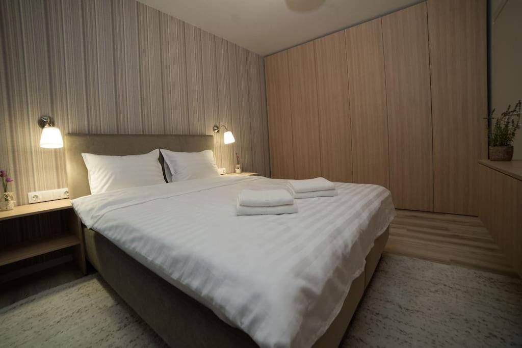 Carpe Diem Travel Timisoara